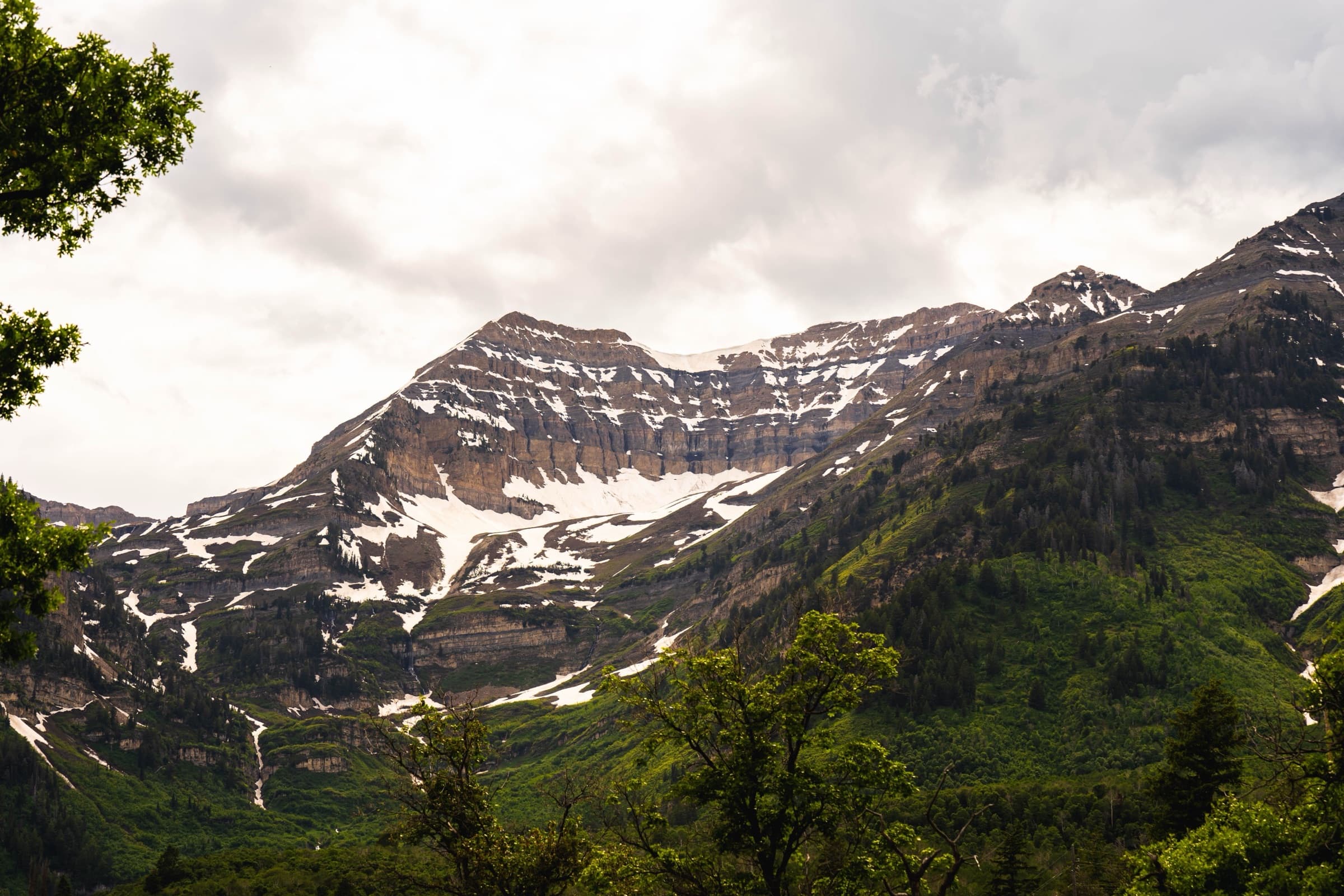 Mount Timpanogos above the Wasatch Back, snowfields on the north face, aspens in the foreground